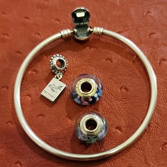 Authentic Silver 925 ALE Pandora Moments Bangle 19 cm with Pandora passport - Picture 4 of 4